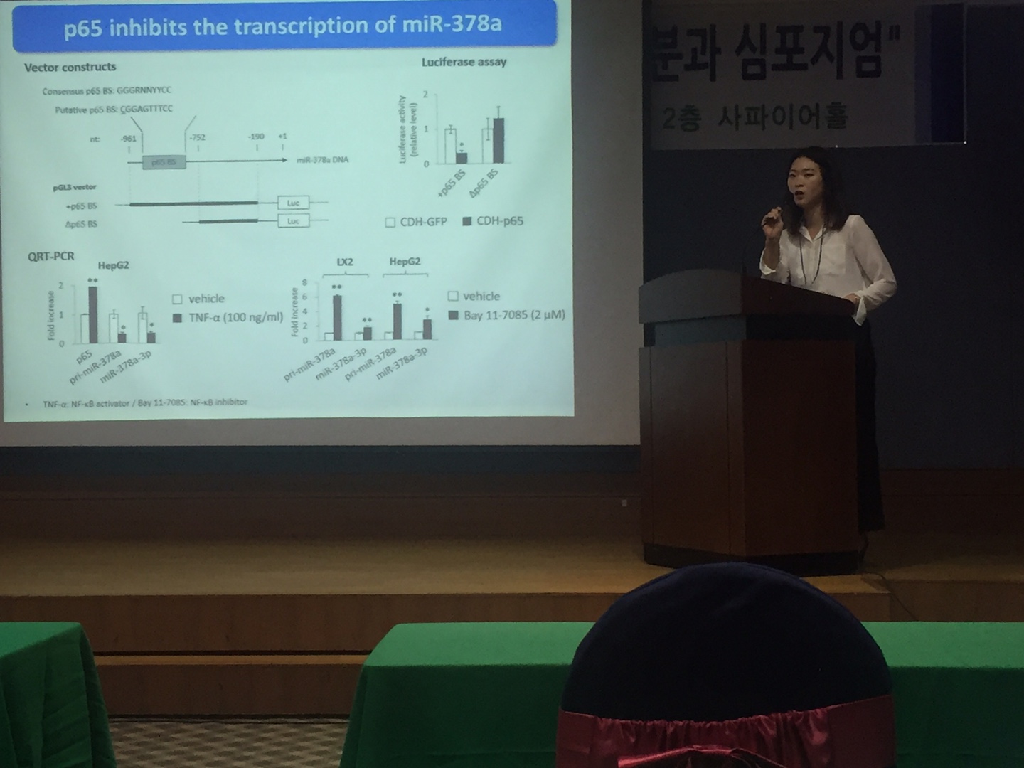 20160708-0709 제 7회 스트레와 샤페론 분과 심포지엄 참가 KakaoTalk_20160726_152451013.jpg