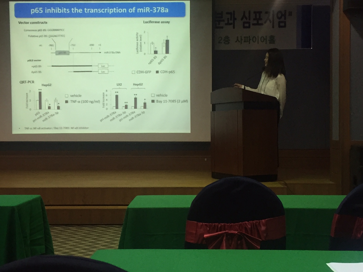 20160708-0709 제 7회 스트레와 샤페론 분과 심포지엄 참가 KakaoTalk_20160726_152449254.jpg